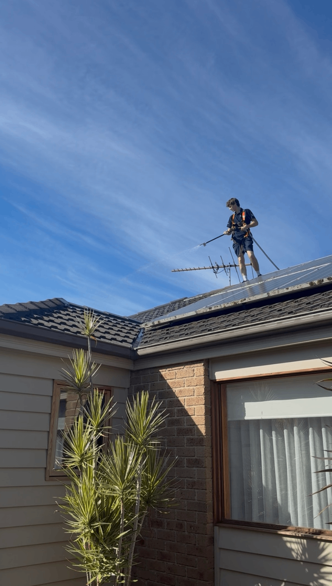 Roof moss treatment — tile roof — Soft-wash moss and lichen treatment applied to a tile roof — no high-pressure damage.